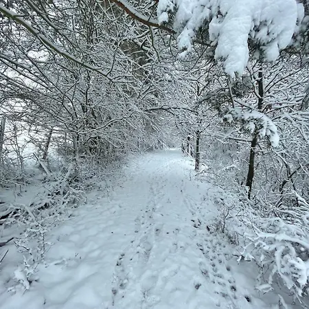 Rosen-holz, Ruhe Und Entspannung Im Dorf