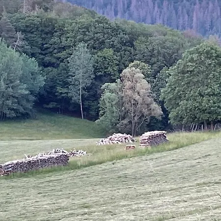 Дом отдыха Rosen-holz, Ruhe Und Entspannung Im Dorf Niederdorla