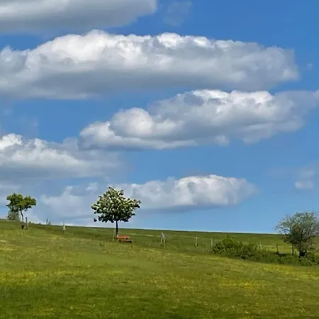 Rosen-holz, Ruhe Und Entspannung Im Dorf * Niederdorla